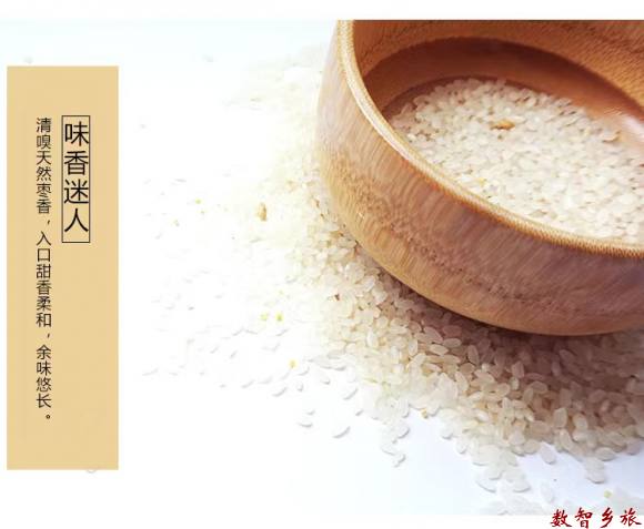 微信图片_202303210910152