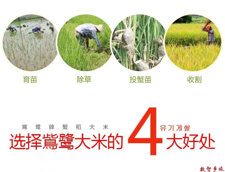 微信图片_202303210910153