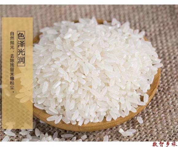 微信图片_202303210910151