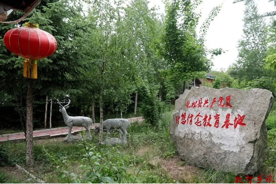 微信截图_20230411132555