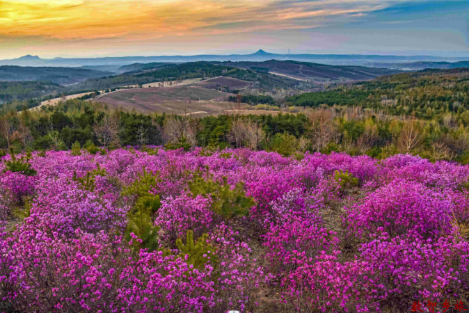 微信图片_20230413144632(1)