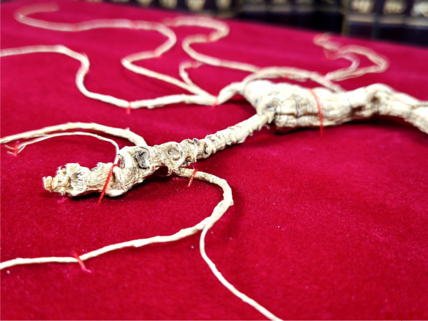 微信图片_20230417094240