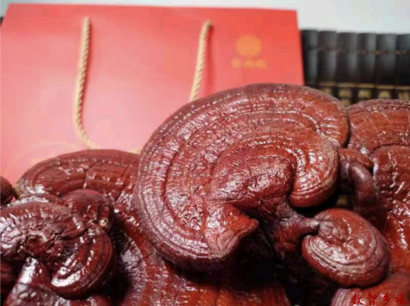 微信图片_20230417094532