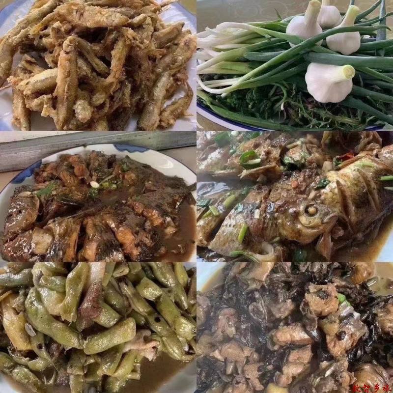 微信图片_20230412164209