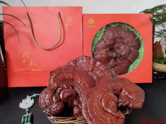 微信图片_20230417094506