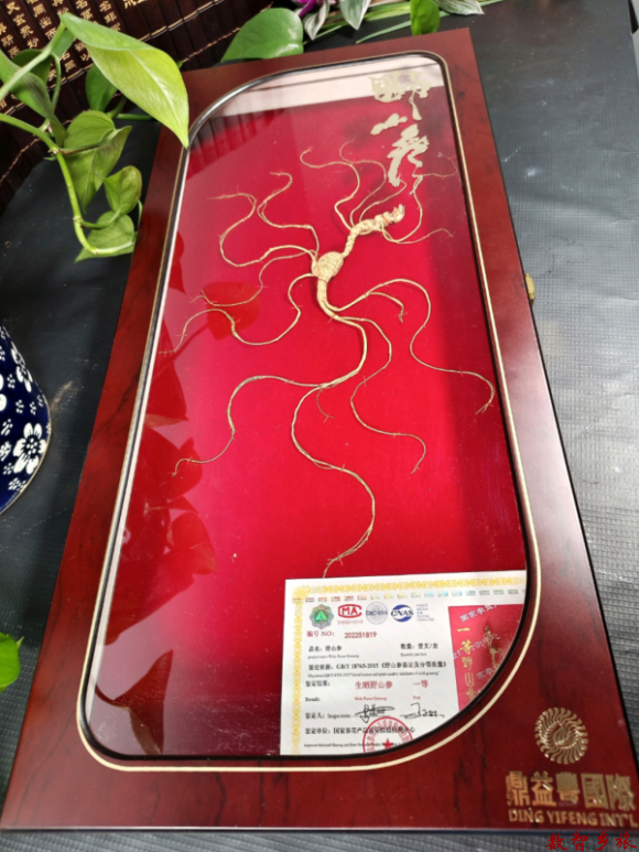 微信图片_20230417094132