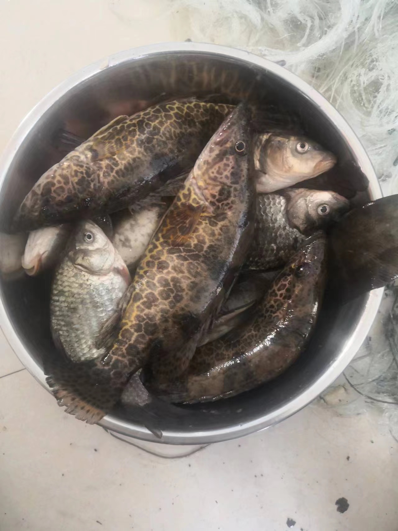 微信图片_20230417093230