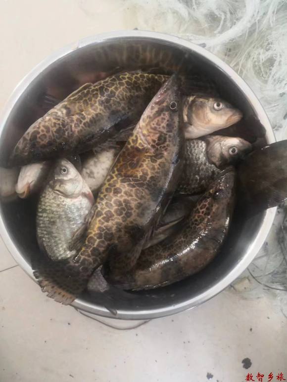 微信图片_20230417093230