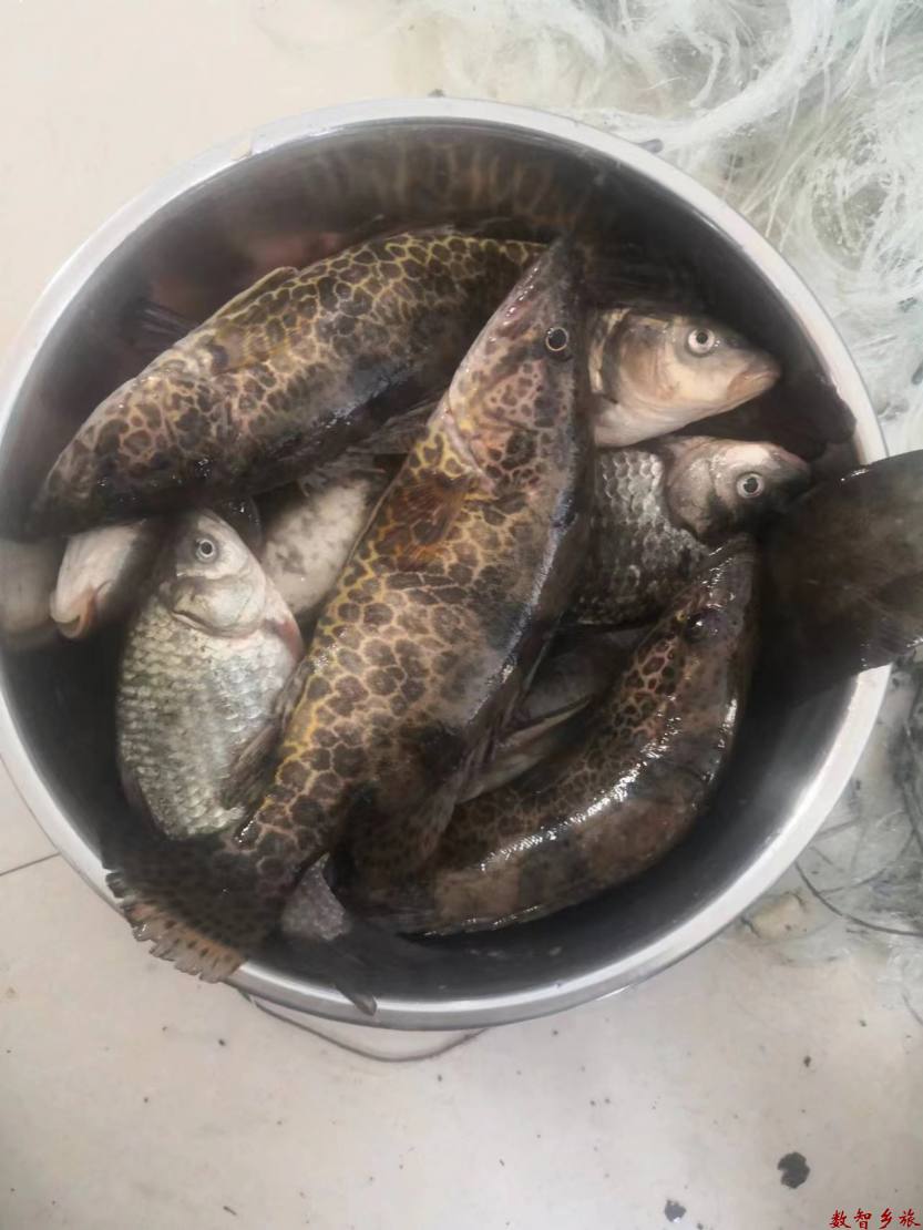 微信图片_20230417093230