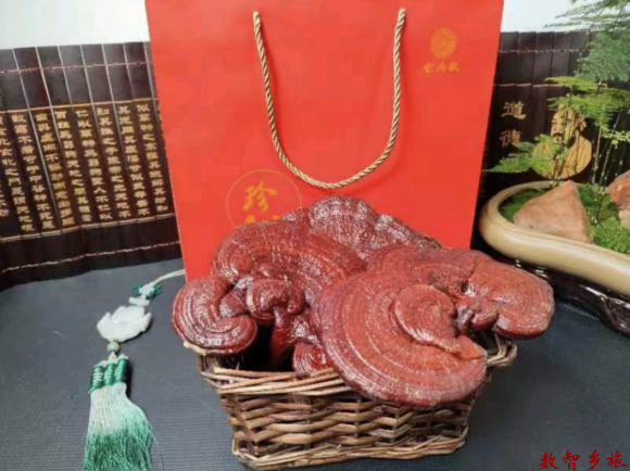 微信图片_20230417094559