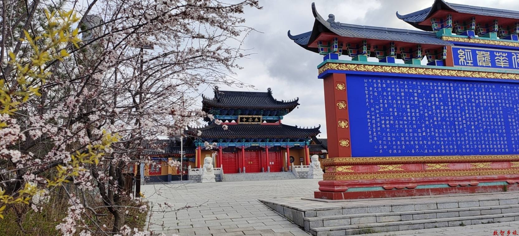 b12f30873f1f9231b9aa8767f836d62