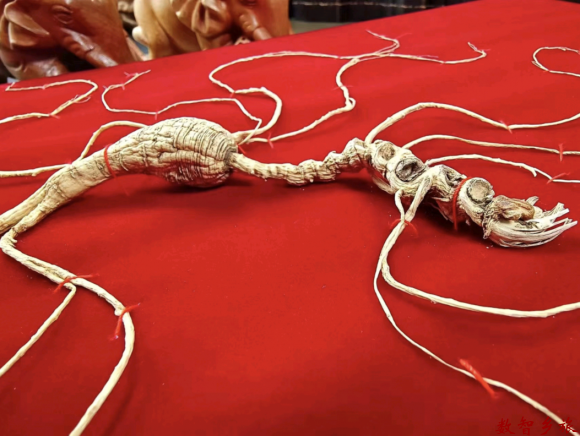 微信图片_20230417094309