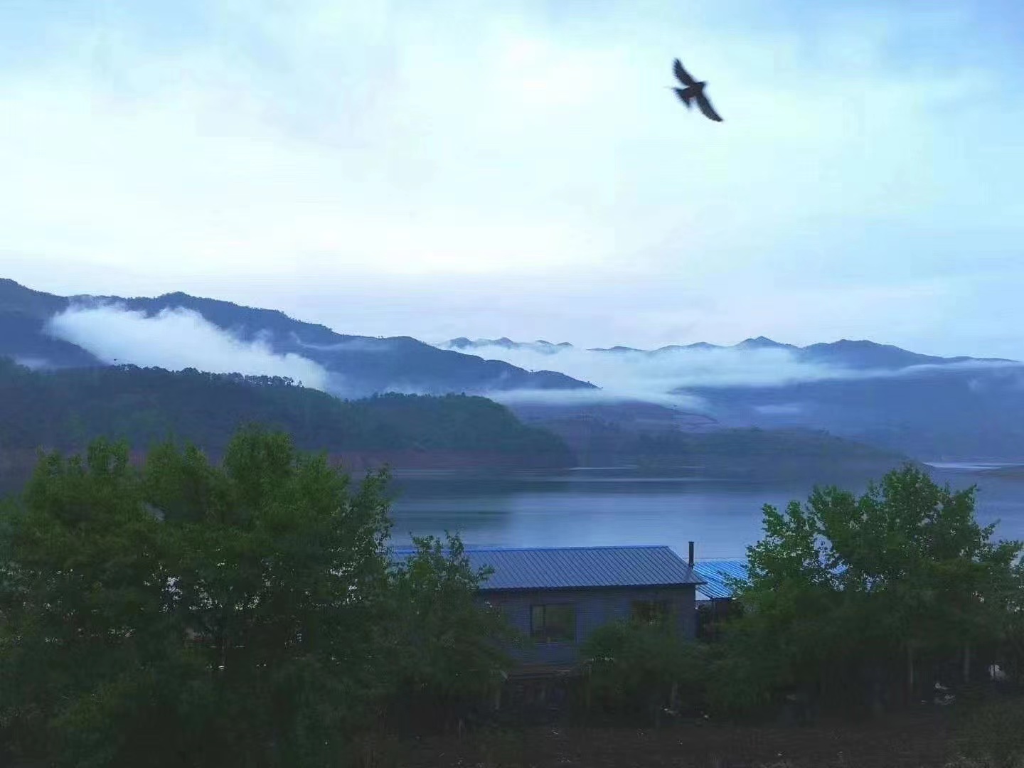 微信图片_20230412164217