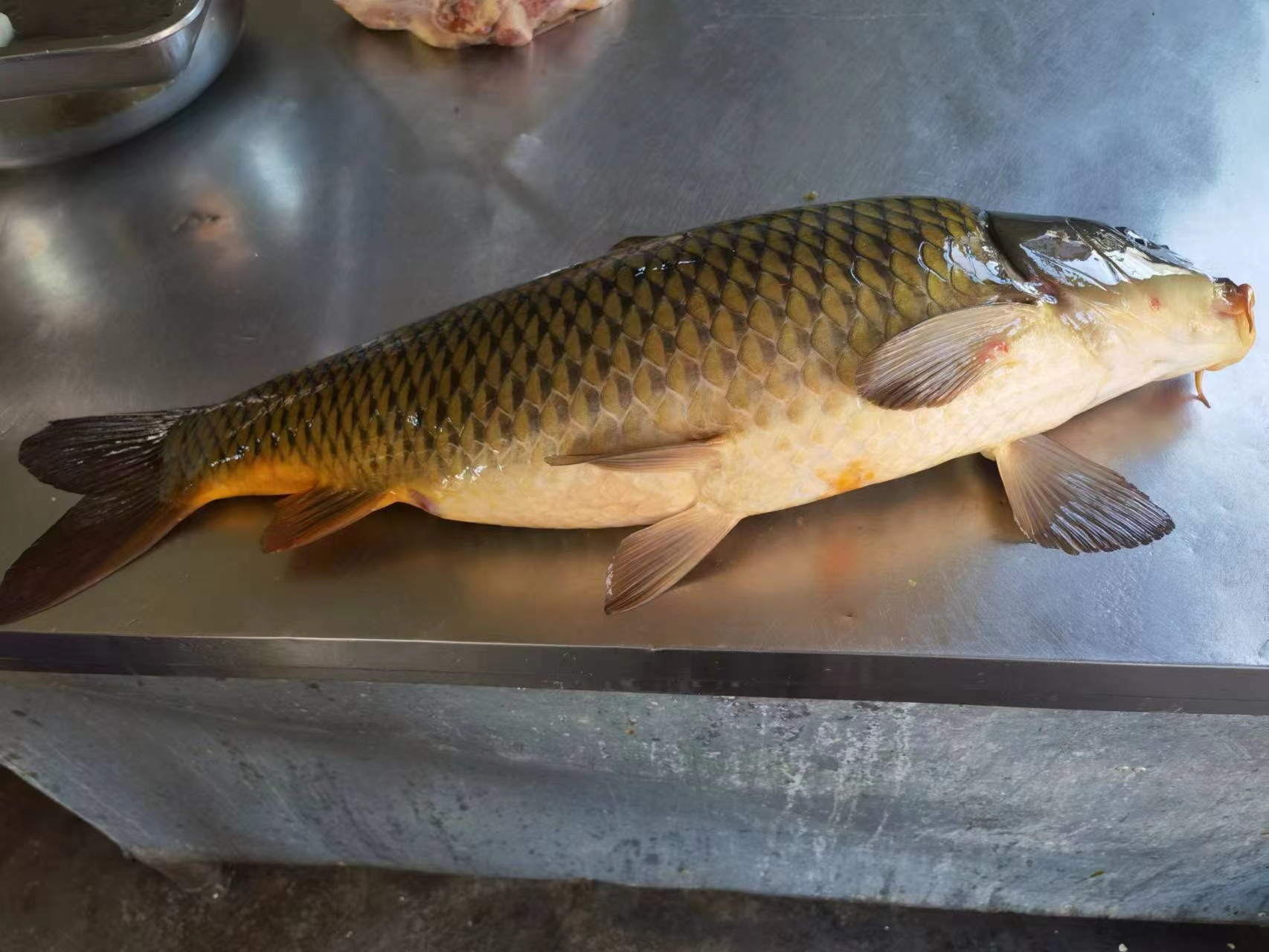 微信图片_20230417093235