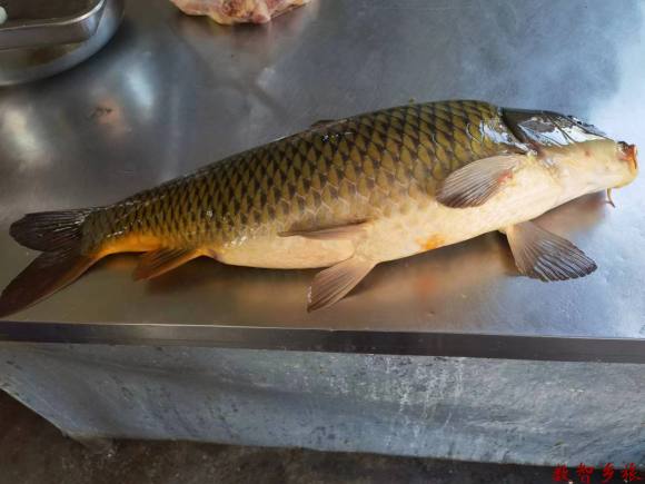 微信图片_20230417093235