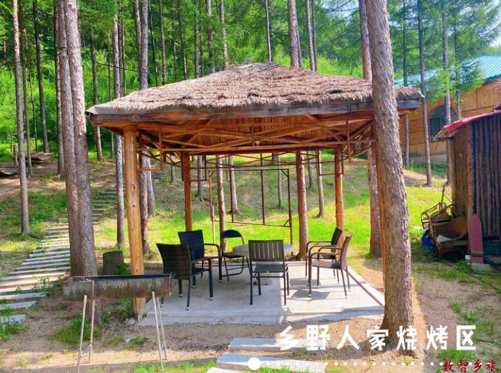 乡野人家5