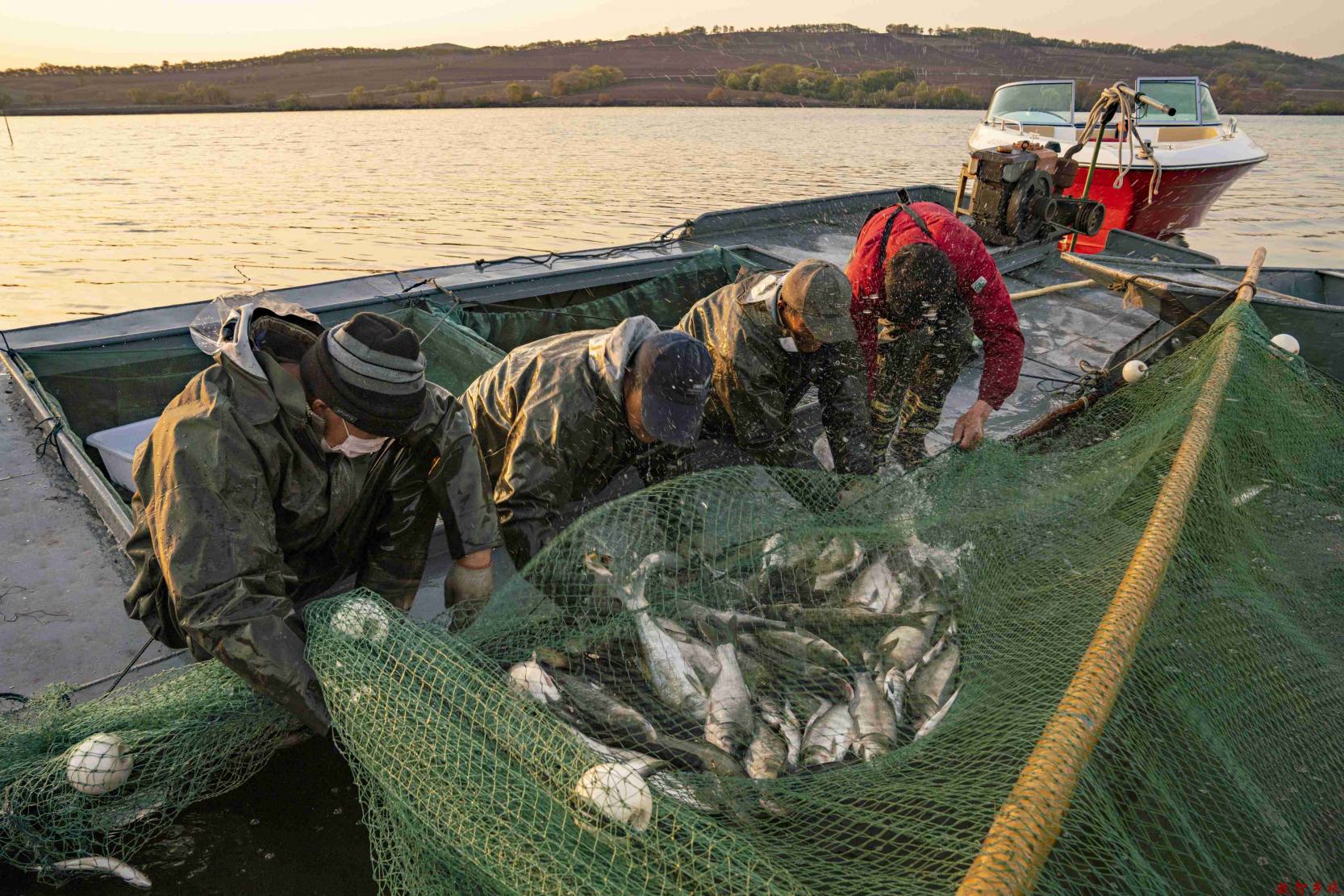 df3d0458a29b2740e536f01ea87a3ba