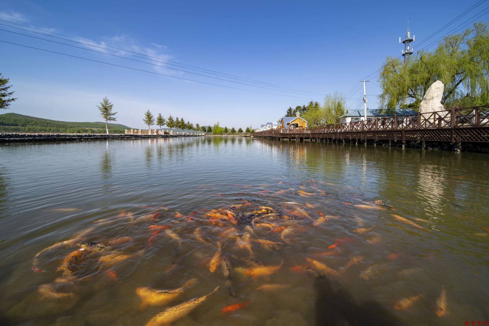 ccda32d59695b0b6f1f053c7ca4e737