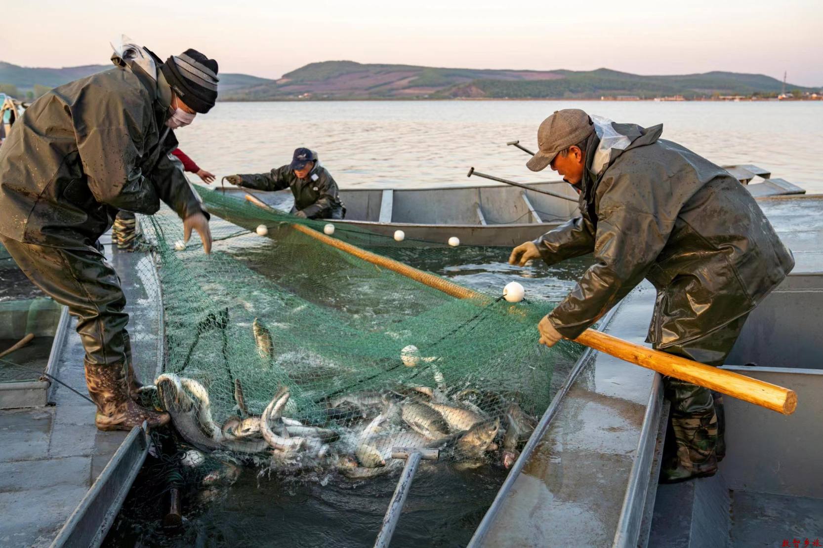 8c9285be1281b5e3d119034ddd9b8d1