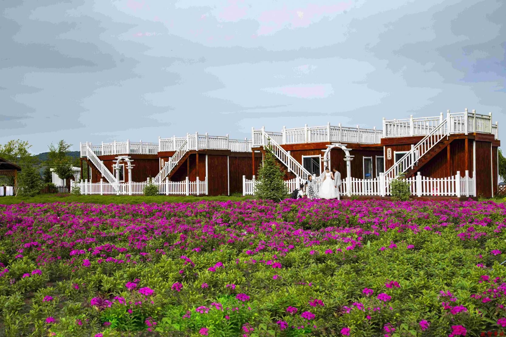 61f8c7c97aaba9c31a06e5272354669