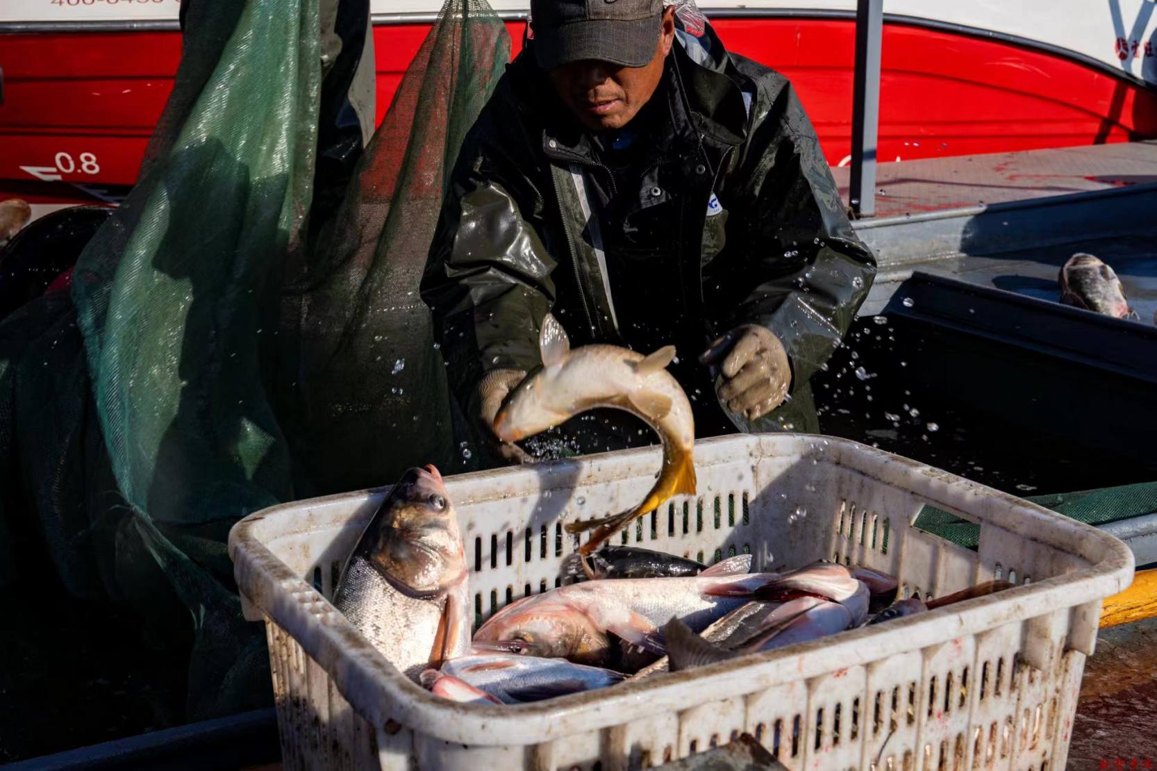 92c416a8e9de3d319e116440592778a