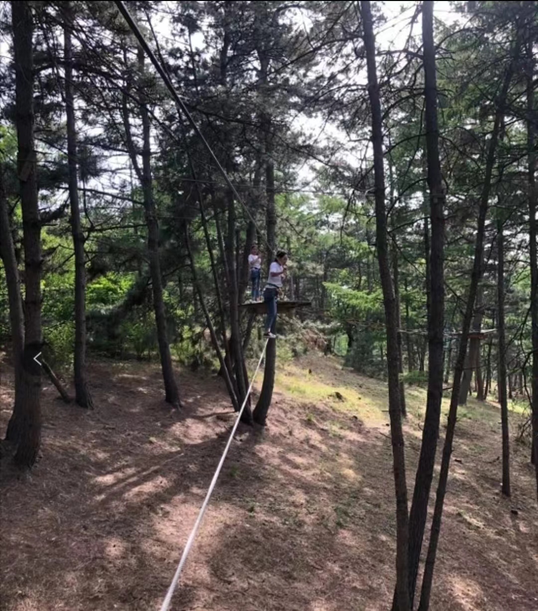 微信图片_20230615142539