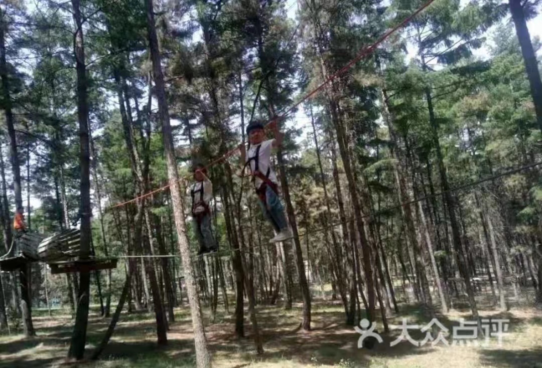 微信图片_20230615145825