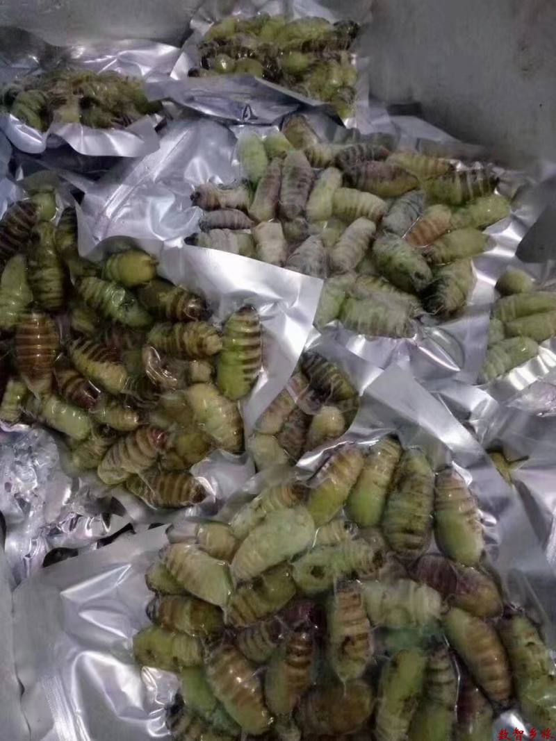 微信图片_20230809161147