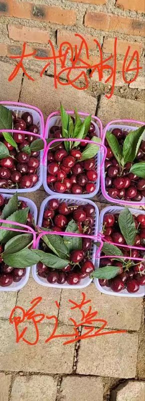 e397f242a69e9414387244f8147fe20