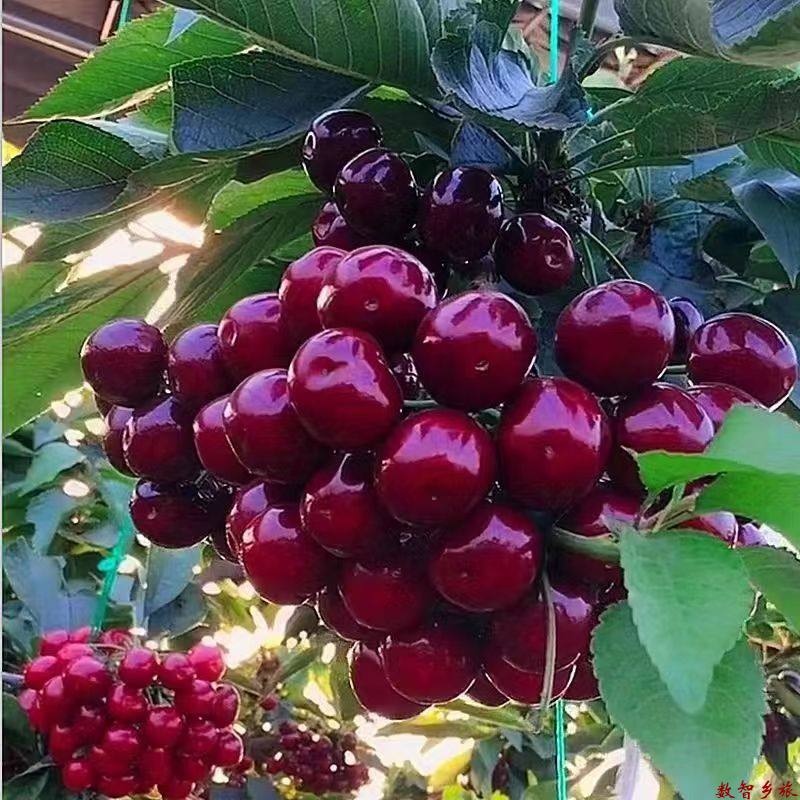 e87f186c0c6836b240c9b679be7d786