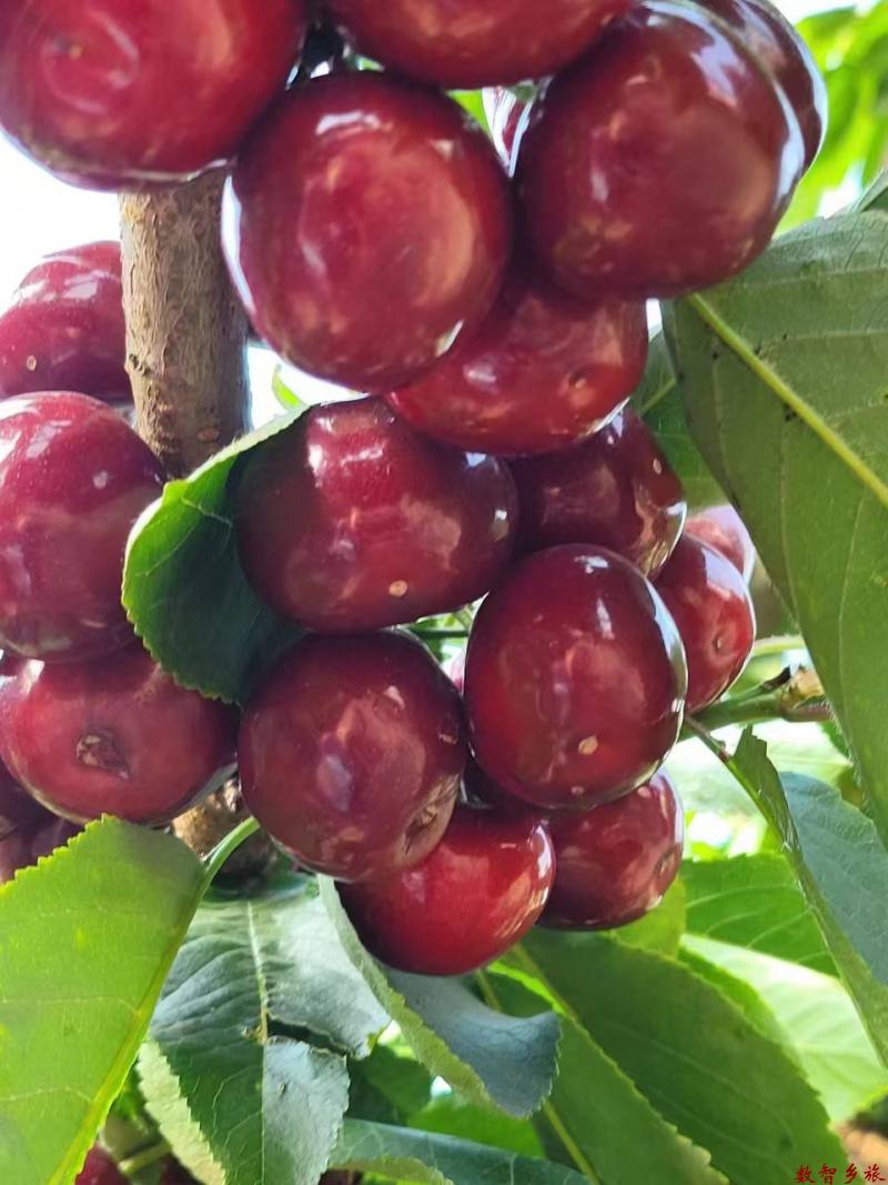 a03e45128591dda285b3e344edc4aaf