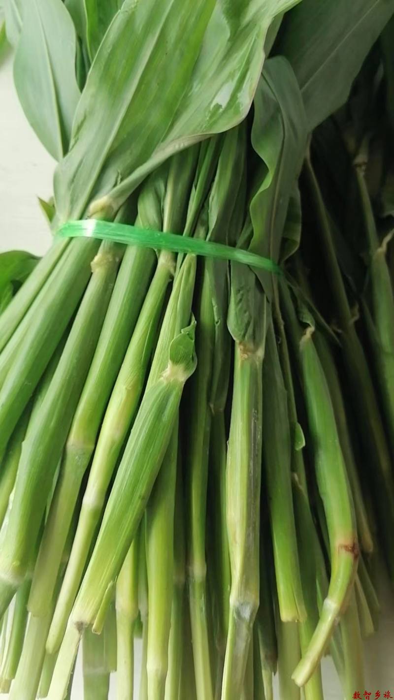 微信图片_20230809161736