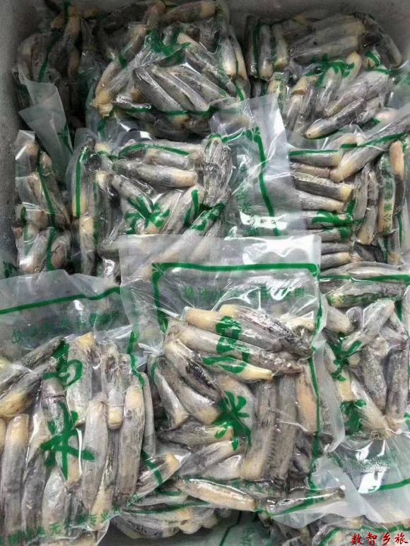 微信图片_20230809161728