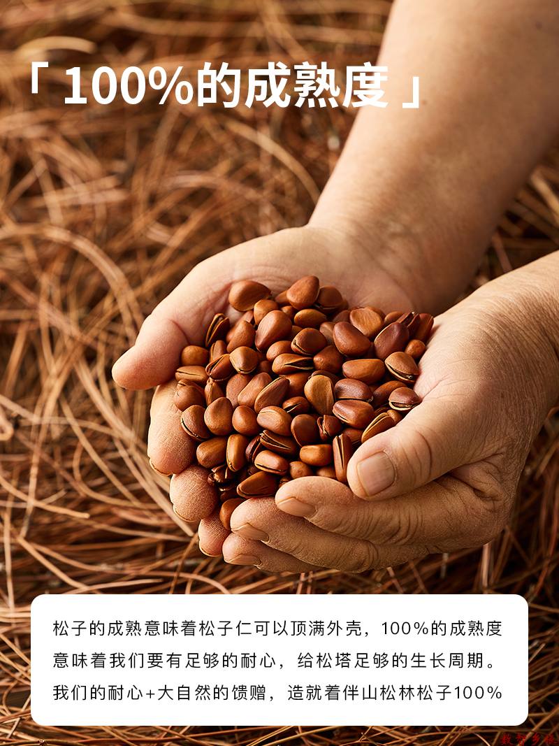 时醇松子-轮播_02