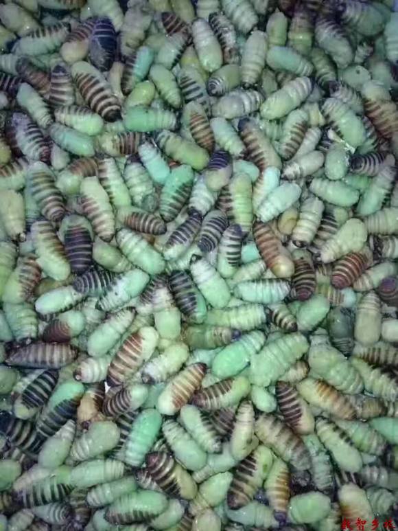 微信图片_20230809161145