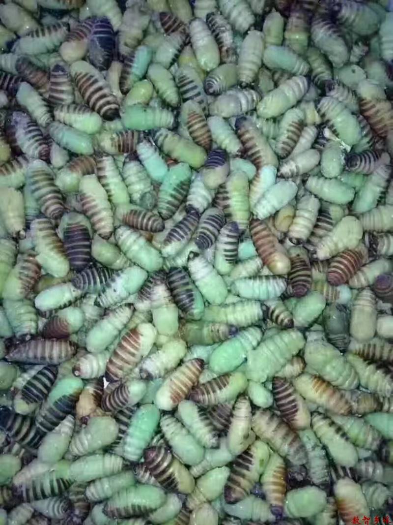 微信图片_20230809161145