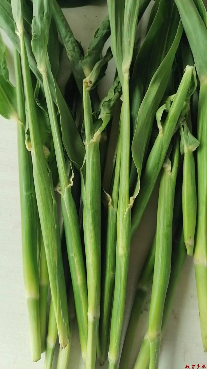 微信图片_20230809161726