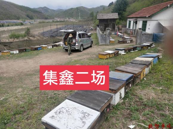 mmexport1691654636899