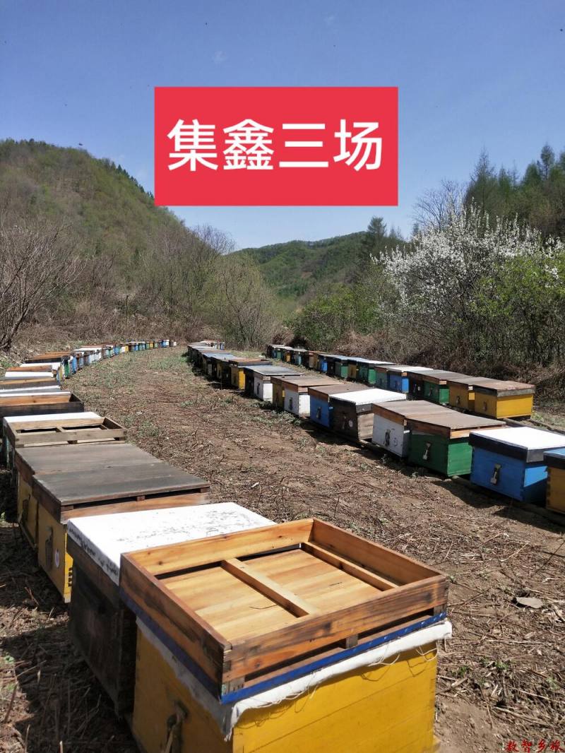 mmexport1691654644286