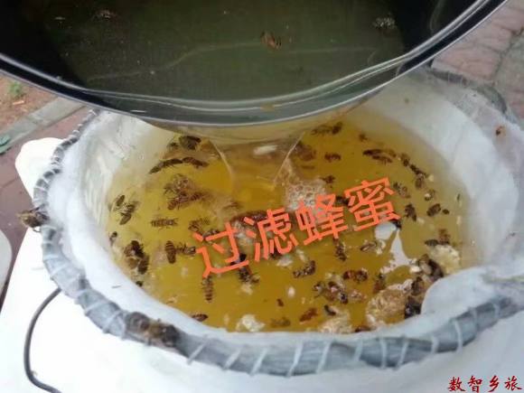 mmexport1641904612333