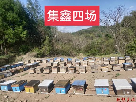 mmexport1691654649766