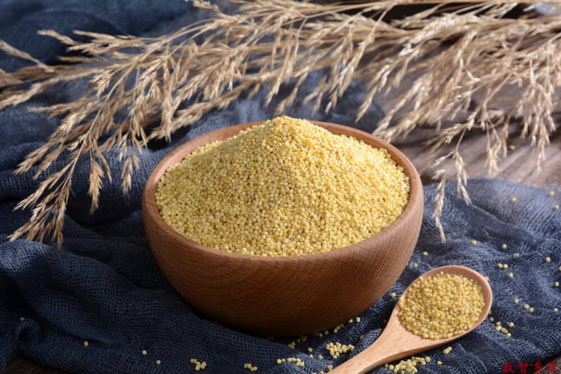 mmexport1688526163104