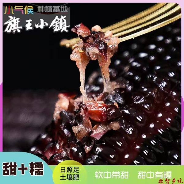 b62566eba2517568790cc1afeb487cc