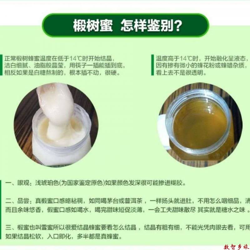 mmexport1691655041117