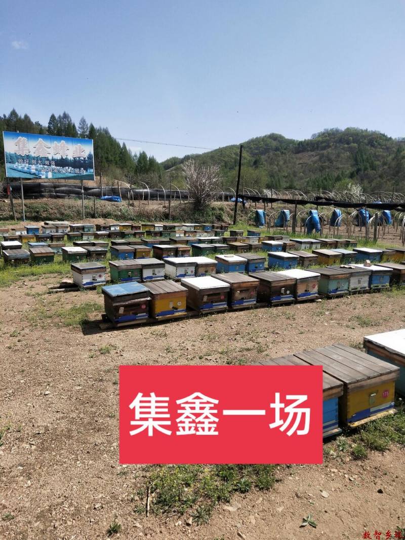 mmexport1691654628126