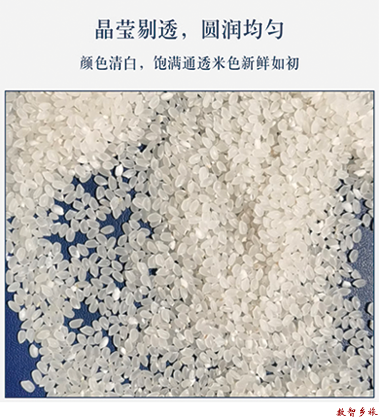 微信图片_20221215223316