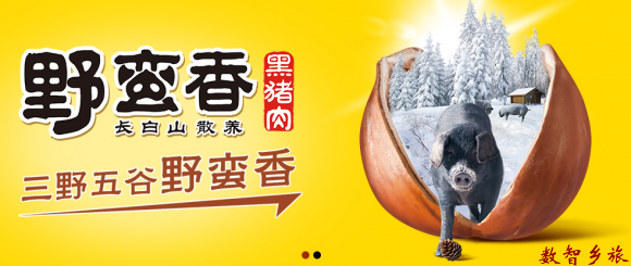 {A9EC69DE-846E-4873-AF27-4D0E91123812}