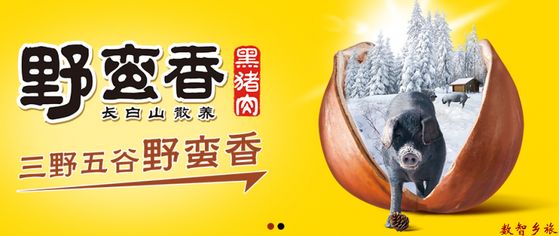 {A9EC69DE-846E-4873-AF27-4D0E91123812}