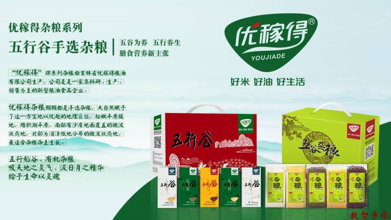 杂粮介绍-