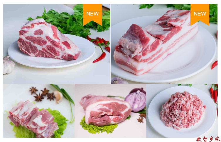 QQ截图20230811140645